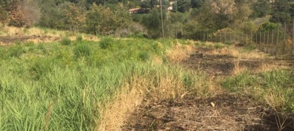  قطعة أرض في Piazza Armerina, Italy 11000متر مربع رقم 256296 12