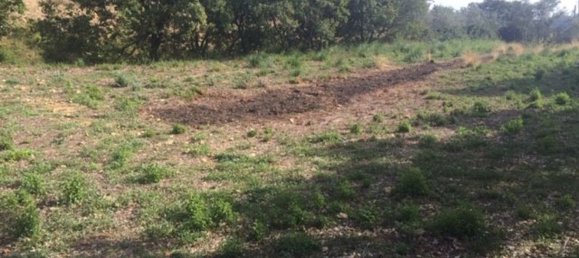  قطعة أرض في Piazza Armerina, Italy 11000متر مربع رقم 256296 6