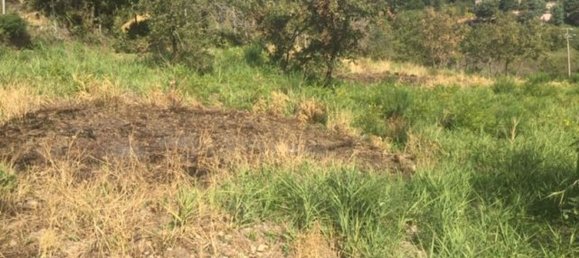  قطعة أرض في Piazza Armerina, Italy 11000متر مربع رقم 256296 13