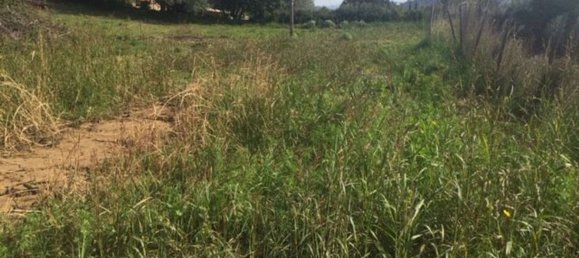  قطعة أرض في Piazza Armerina, Italy 11000متر مربع رقم 256296 8