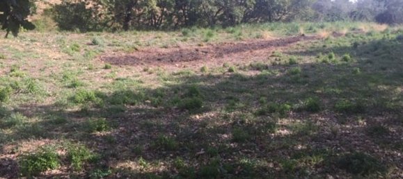  قطعة أرض في Piazza Armerina, Italy 11000متر مربع رقم 256296 7