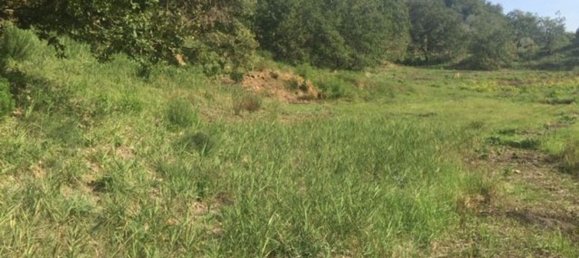  قطعة أرض في Piazza Armerina, Italy 11000متر مربع رقم 256296 3