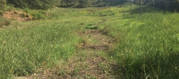  قطعة أرض في Piazza Armerina, Italy 11000متر مربع رقم 256296 2