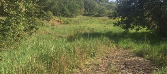  قطعة أرض في Piazza Armerina, Italy 11000متر مربع رقم 256296 11