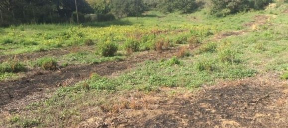  قطعة أرض في Piazza Armerina, Italy 11000متر مربع رقم 256296 4