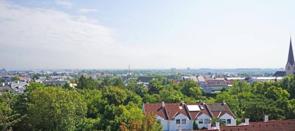 Пентхаус с 5 комнатами в Брунн ам Гебирге, Австрия № 257156 6