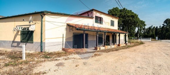 4 Schlafzimmer Haus in Sangalhos, Portugal, Nr. 189271 34