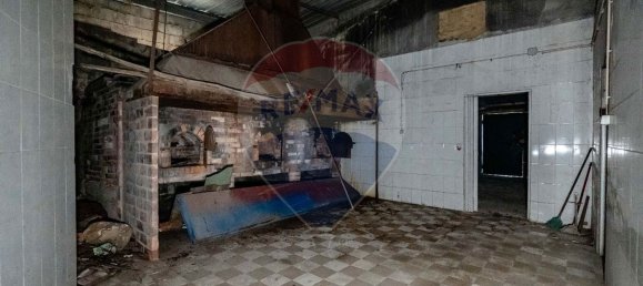 4 Schlafzimmer Haus in Sangalhos, Portugal, Nr. 189271 3