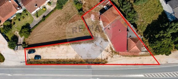 4 Schlafzimmer Haus in Sangalhos, Portugal, Nr. 189271 2