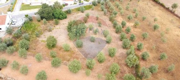 Grundstück in Ferreira do Zezere, Portugal 3400m², Nr. 71207 4