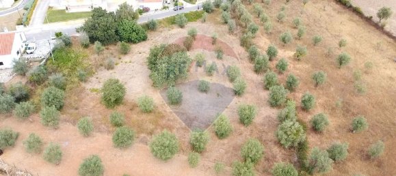 Grundstück in Ferreira do Zezere, Portugal 3400m², Nr. 71207 2