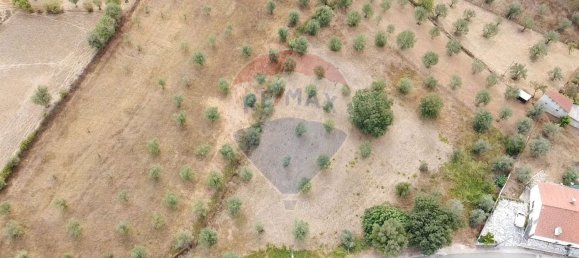 Grundstück in Ferreira do Zezere, Portugal 3400m², Nr. 71207 3