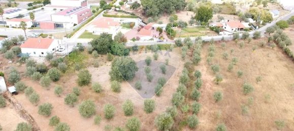 Grundstück in Ferreira do Zezere, Portugal 3400m², Nr. 71207 6