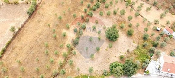Grundstück in Ferreira do Zezere, Portugal 3400m², Nr. 71207 5