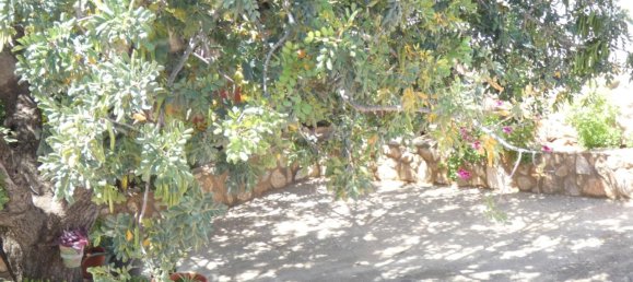 3 chambres Maison à Montroy, Spain No. 76118 29