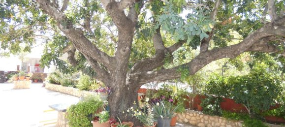 3 chambres Maison à Montroy, Spain No. 76118 17