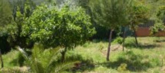 3 chambres Maison à Montroy, Spain No. 76118 7