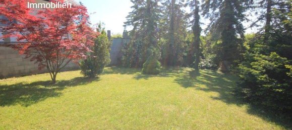 6 rooms House in Klosterneuburg, Austria No. 145544 4