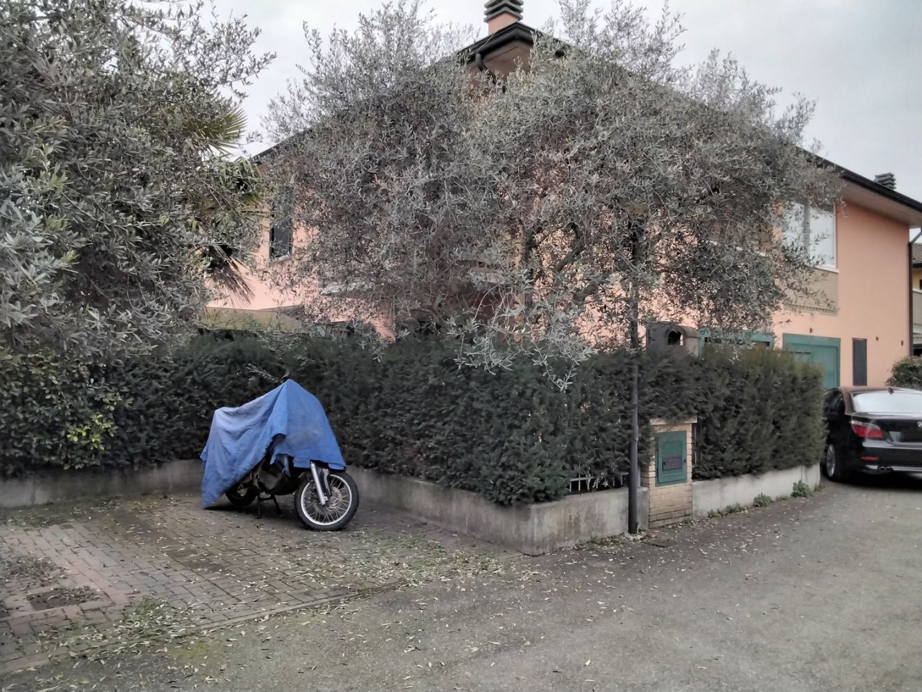 7 chambres Appartement à Correggio, Italy No. 325260