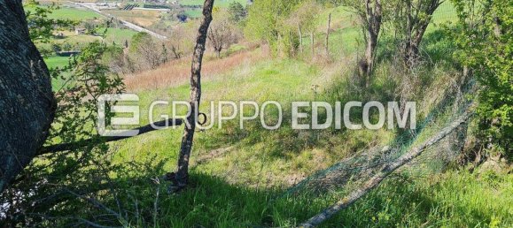 3 rooms Apartment in Montiano, Italy No. 15939 4