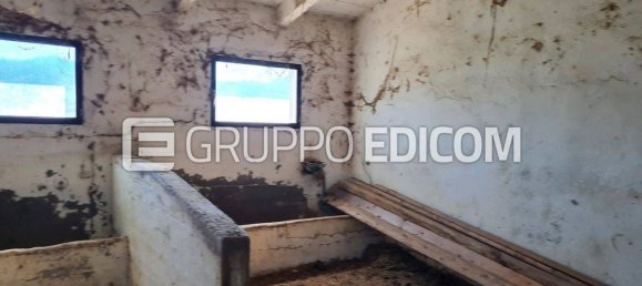 3 rooms Apartment in Montiano, Italy No. 15939 7