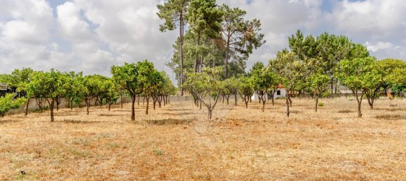5 Schlafzimmer Haus in Quinta do Conde, Portugal, Nr. 262125 48