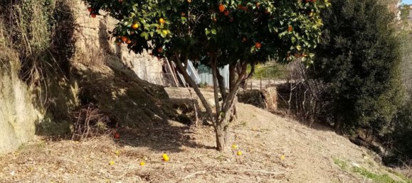 4غرفة شقة في Pitigliano, Italy رقم 119842 32