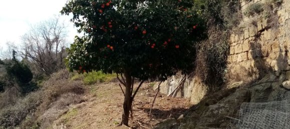 4غرفة شقة في Pitigliano, Italy رقم 119842 33