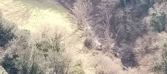 4غرفة شقة في Pitigliano, Italy رقم 119842 26