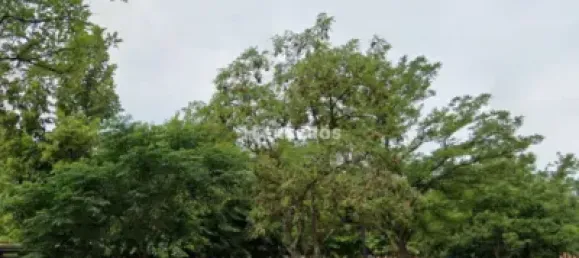 Квартира с 4 спальнями в Логроньо, Испания № 142442 25