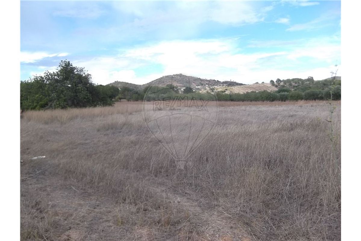 1 bedroom House in Santa Catarina da Fonte do Bispo, Portugal No. 163907