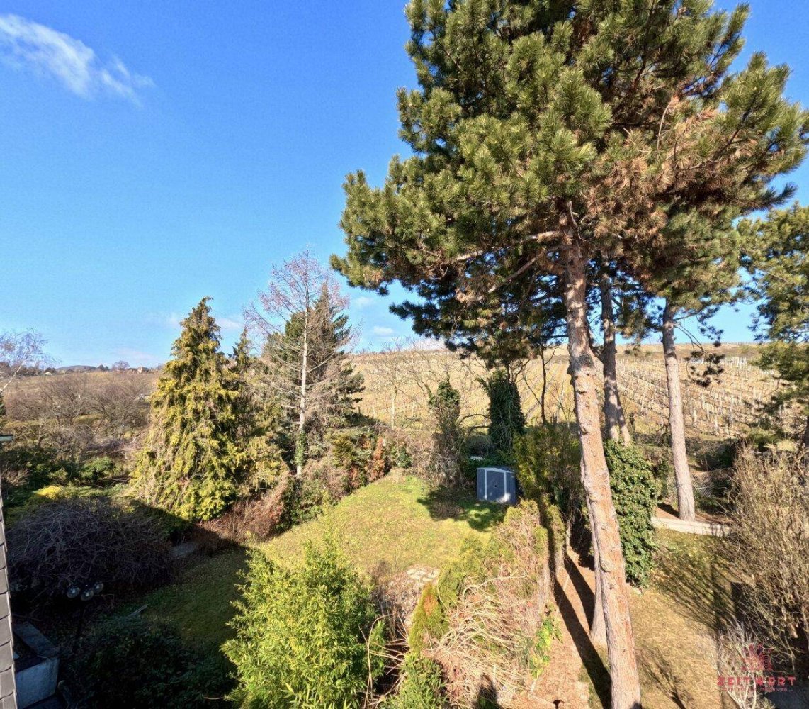 3-salle Appartement à Dobling, Austria No. 144161