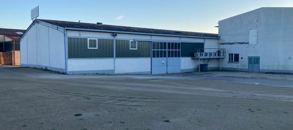 Gewerbliche Immobilie in Sarreguemines, France 9325m², Nr. 74691 3