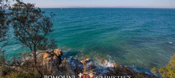 10 bedrooms Villa in Monte Argentario, Italy No. 126791 12