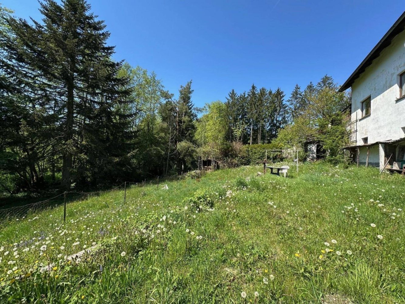  قطعة أرض في Walding, Austria 1020متر مربع رقم 166610