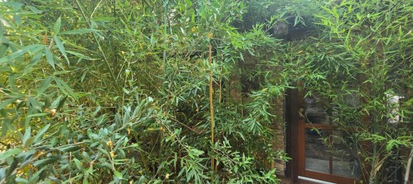 9 Schlafzimmer Haus in Frankfurt am Main, Germany, Nr. 22546 17