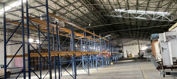 Lagerhaus in Anhalt-Bitterfeld, Germany 2600m², Nr. 127432 3