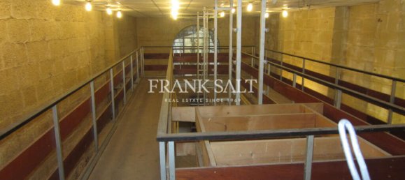 Laden in Birkirkara, Malta, Nr. 13504 2