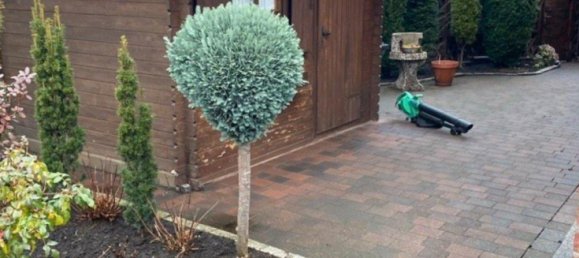 Таунхаус с 6 комнатами в Варендорф, Германия № 306479 5