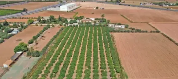 9 bedrooms House in Cartagena, Spain No. 144220 3