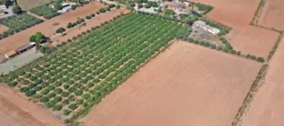 9 bedrooms House in Cartagena, Spain No. 144220 2