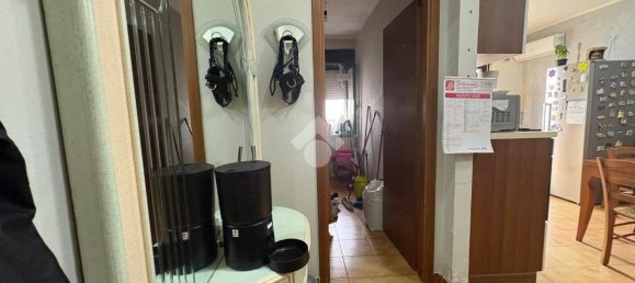 2 bedrooms Apartment in Catanzaro, Italy No. 284166 15