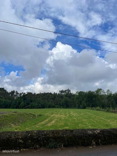 4600m² Land in Ribeirao, Portugal No. 251354