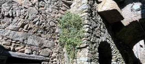 Grundstück in Borghetto di Vara, Italy 200m², Nr. 265108 5