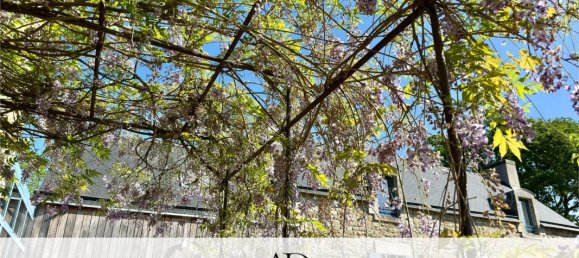 10 غرف نوم منزل في Pont-l'Abbe, France رقم 360796 31