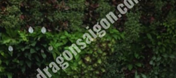 40m² Apartment in Binh Thanh, Vietnam No. 10819 11