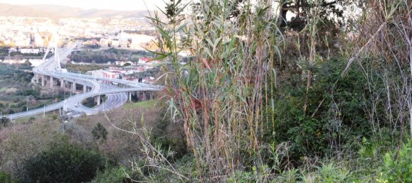 Grundstück in Coimbra, Portugal, Nr. 68664 7