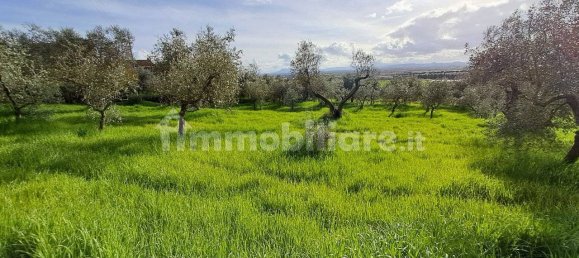 4 bedrooms Villa in Cortona, Italy No. 124720 18