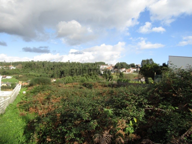  Land in Santa Maria da Feira, Portugal No. 226583