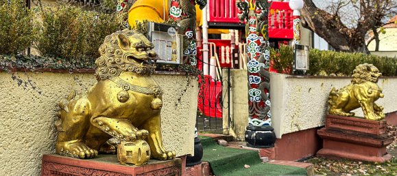 Здание с 4 комнатами в Хафельланд, Германия № 56692 37